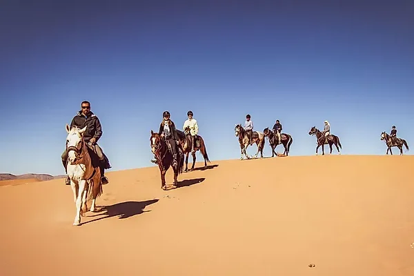 Horseback Riding Experience in the Douz Sahara