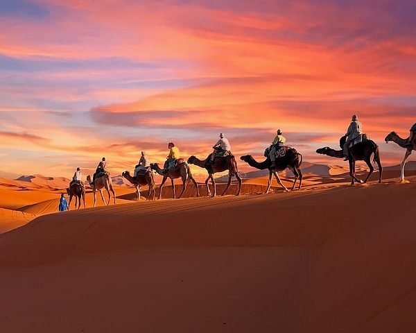Camp Stay with Sunset and Sunrise Camel Trek