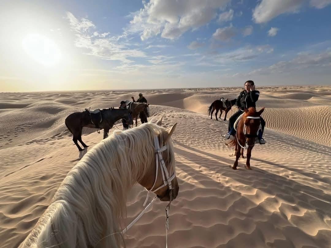 Galloping Through the Sahara – The Spirit of Freedom Awaits